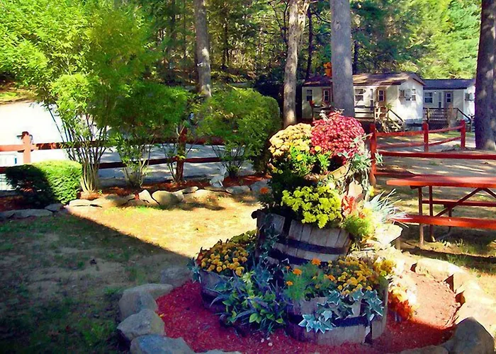 Pet friendly Sturbridge Rv Resort - Campground