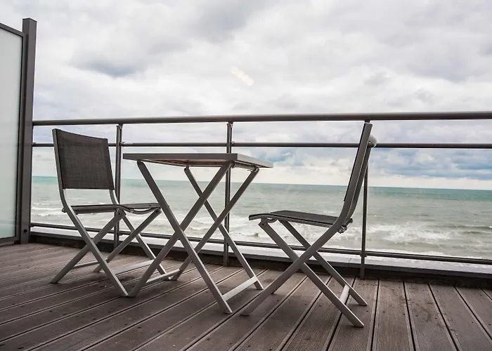 Evancy Etoile de Mer Bray-Dunes acceptant les animaux