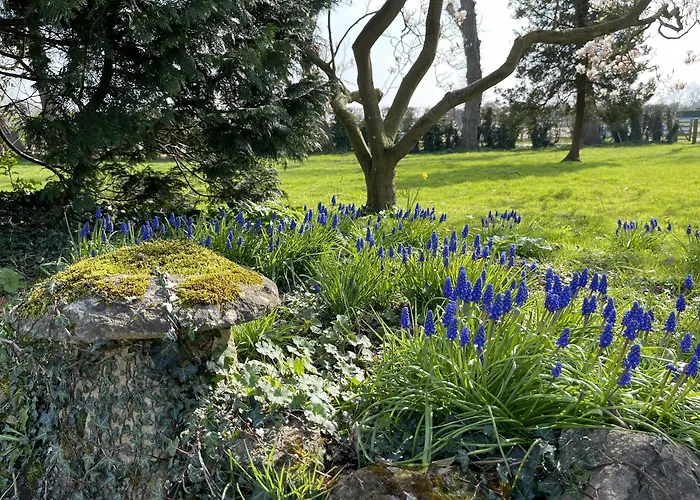 Bed and Breakfast Hill Farm Oxford - un Hotel de 3 estrellas