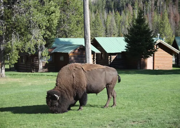 Pahaska Tepee Resort