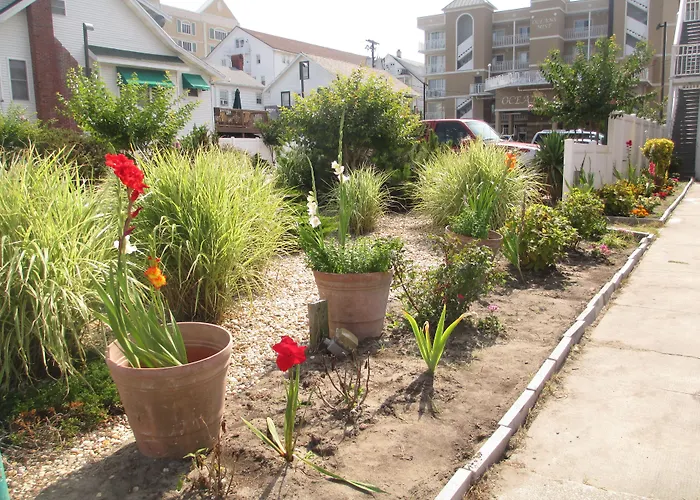 Nock Apartments Ocean City