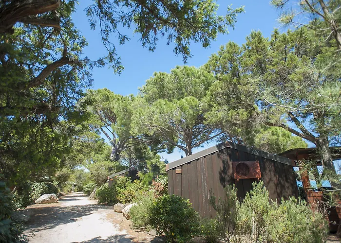 Hôtel&Lodges Moby Dick Porto-Vecchio  acceptant les animaux