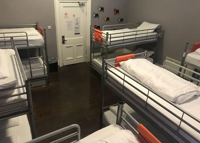 Albatross Hostel