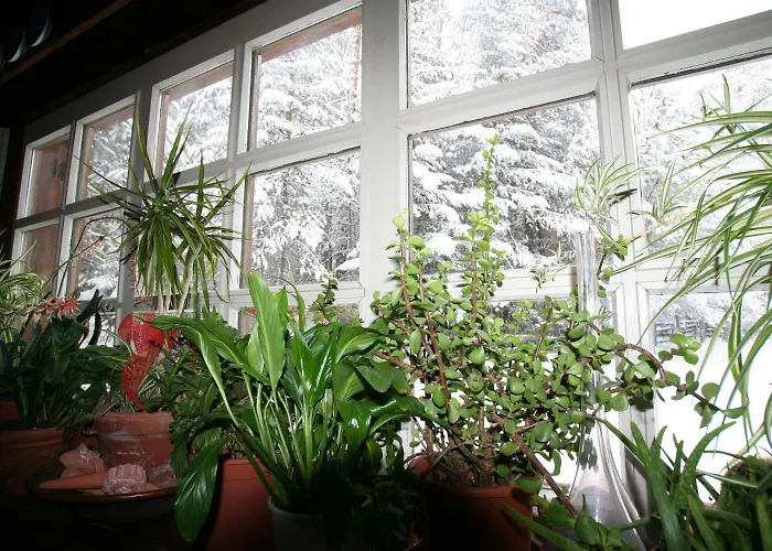 B&B Villa Dolomites Hut San Vigilio Di Marebbe
