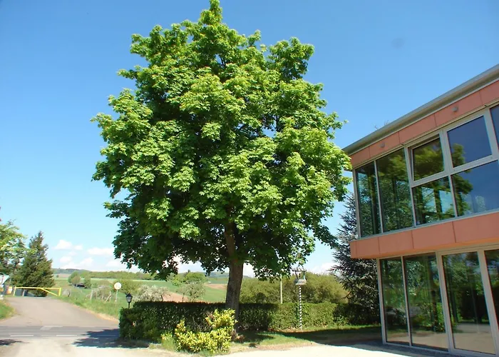 Boutique Rotenberg PT Hotel Wittlich