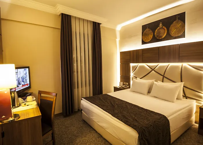 Rumi Hotel Konya
