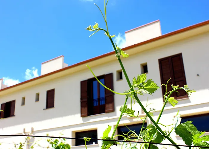 Agriturismo La Casa di Bacco
