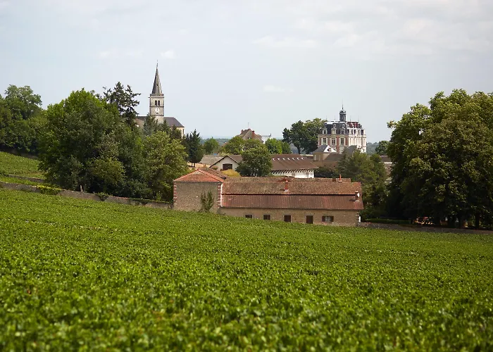Boutique Chateau Saint-Michel - Cercle Des Grands Crus Rully 