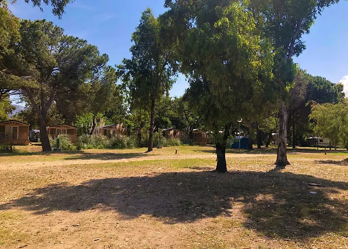 Camping Dolce Vita Calvi 