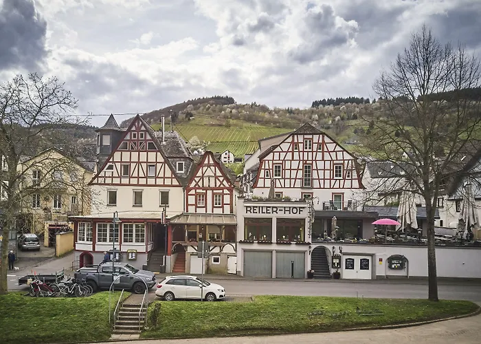 Huisdiervriedelijke Hotel Reiler Hof