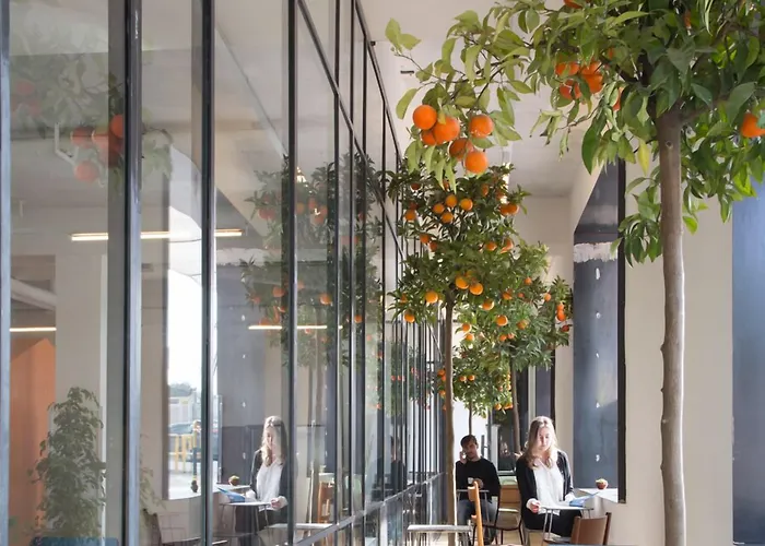 Bed & Boarding