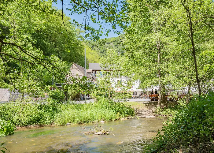 Huisdiervriedelijke Landhotel Ringelsteiner Muehle Moselkern
