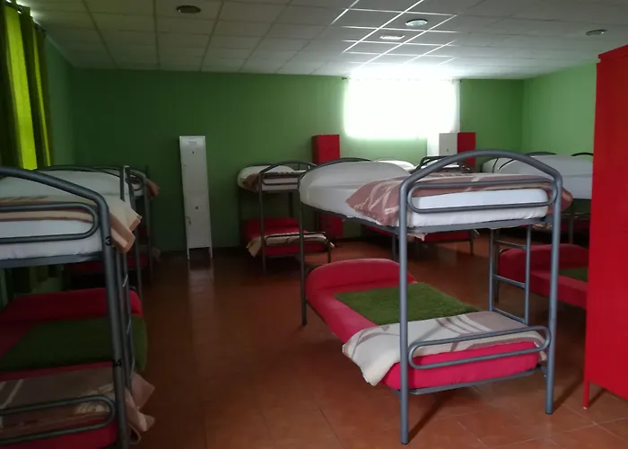 Albergue O Bordón Cee admite animales