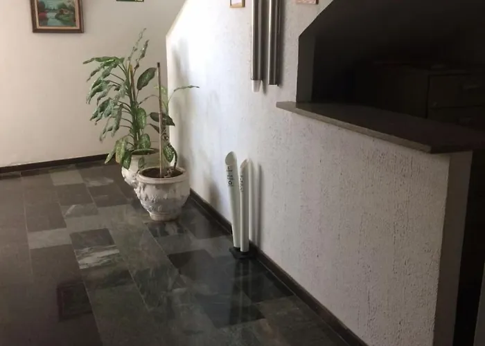 Boutique Roda Viva Park Hotel Jales