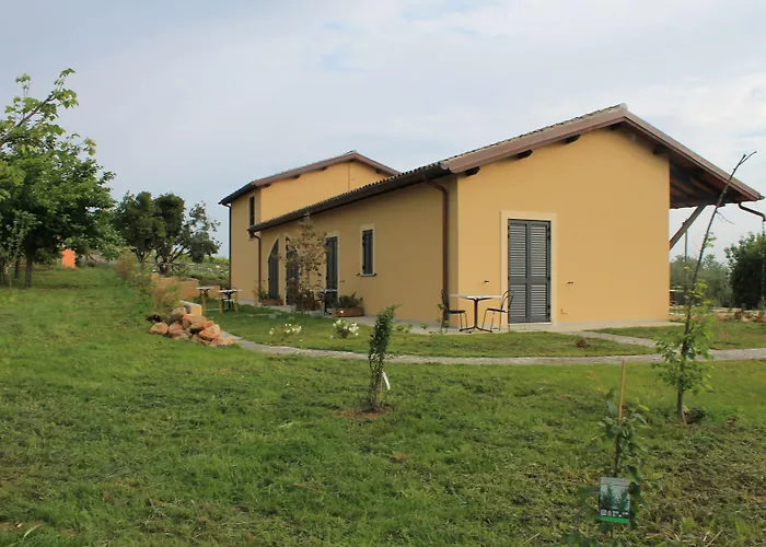 Country House Erba Regina Frascati