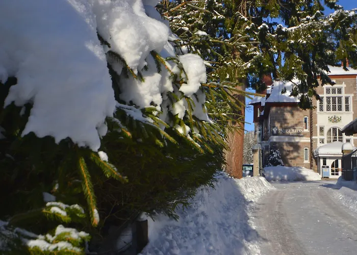 Seehotel Hubertus Schluchsee
