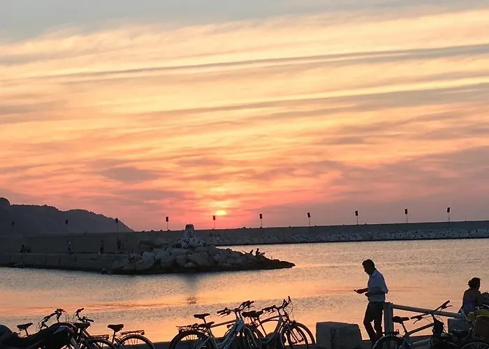 Haustierfreundliches Hotel Majestic Pesaro