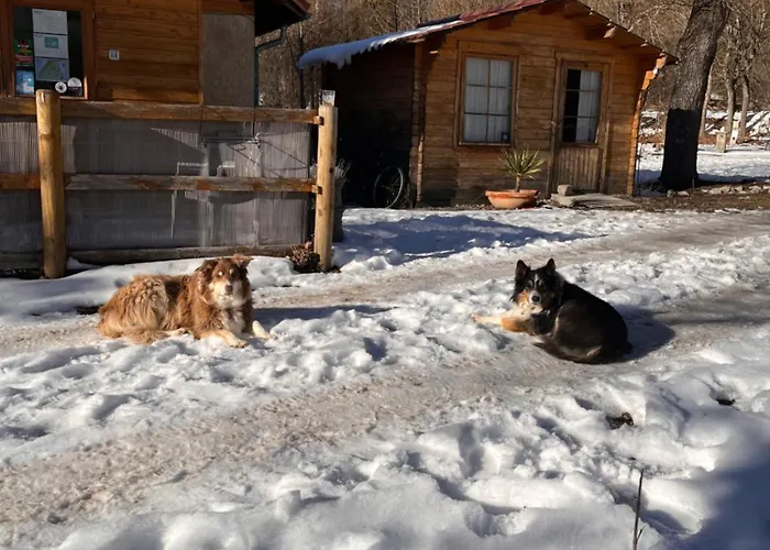 Le mobilhome Chez Camille Veynes acceptant les animaux