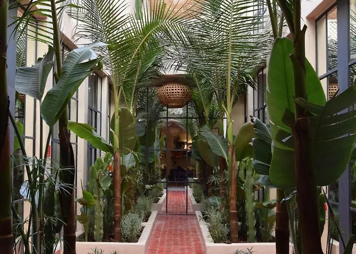 Miostello Lifestyle Riad