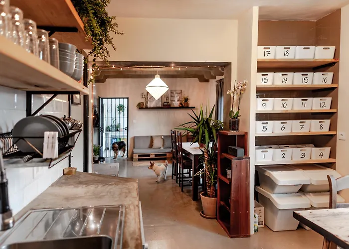 Albergue Wild House Tarifa