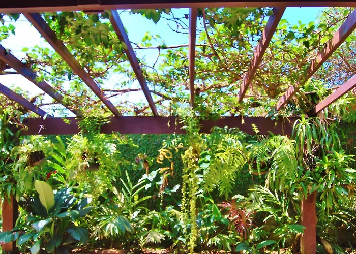 Guapuruvu Hostel