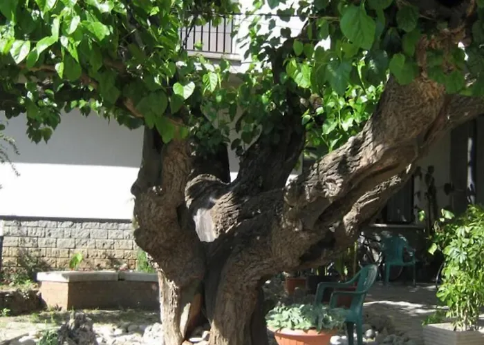 Hotel da Rosanna Attigliano