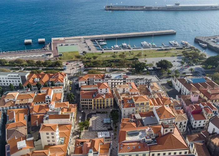 Zarco B&B Bed & Breakfast Funchal  aceita animais de estimação