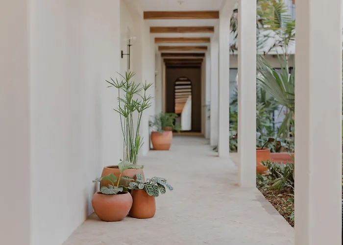 Pet friendly Sendero Hotel Nosara