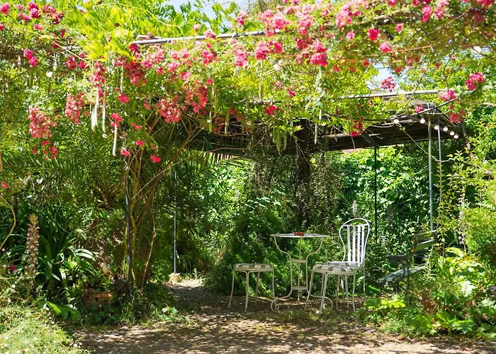 Casa Do Foral Casa de hóspedes Rio Maior