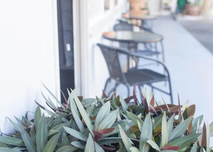 Cairns City Motel