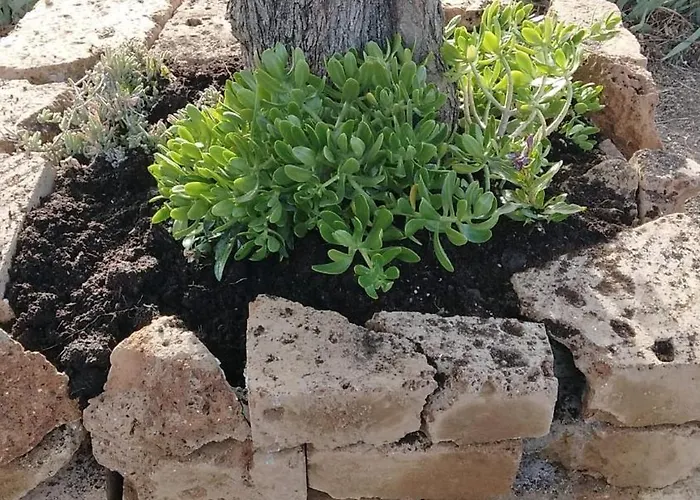 Alloggio Tamburro Campobasso