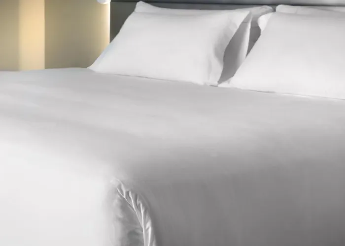 NH Bingen Hotel Bingen am Rhein