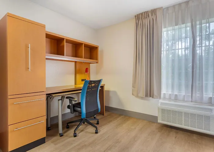 Mainstay Suites Tampa Moffitt-Usf