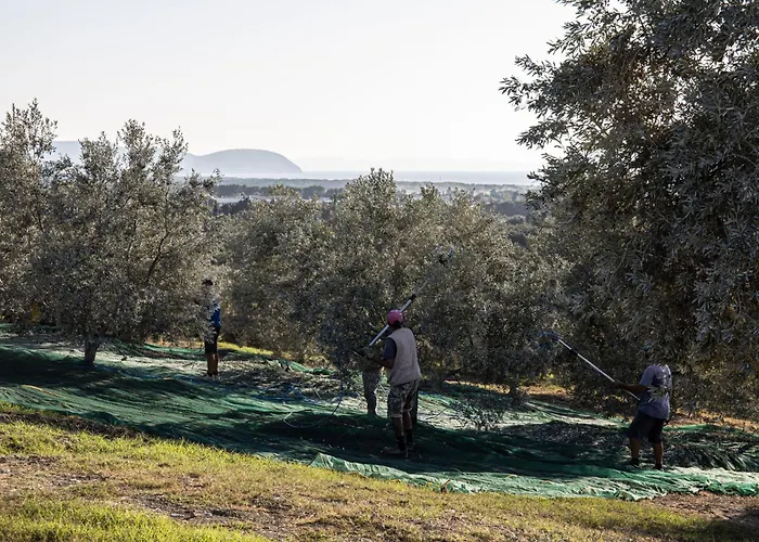 Agriturismo Podere L'Agave