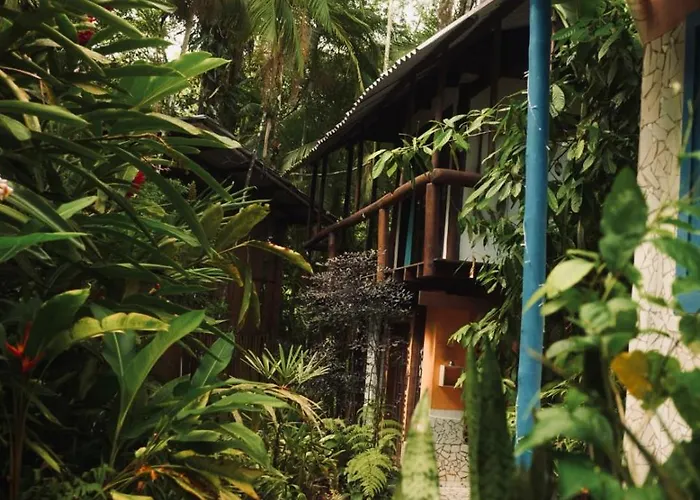 A Pousada Hogar Na Mata Ubatuba