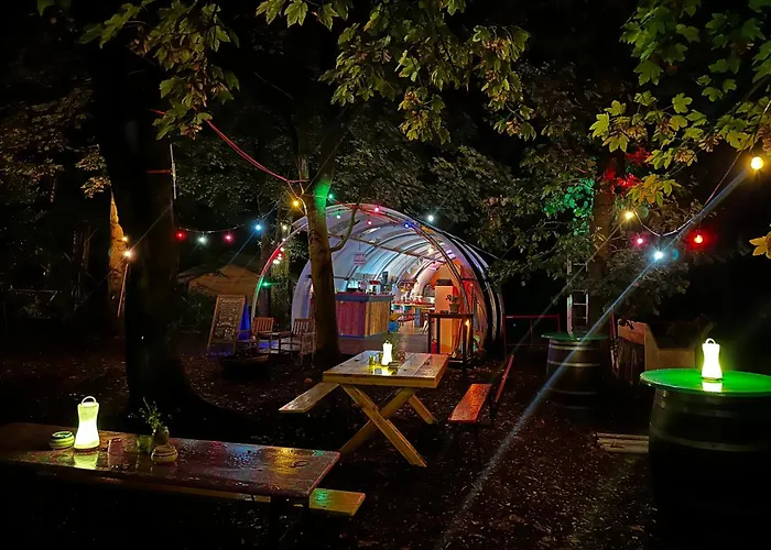 Eco-Camping De Helleborus, Yurt, Bell&Safari tent, Pipo, Caravans, Dorms&Units Groningen