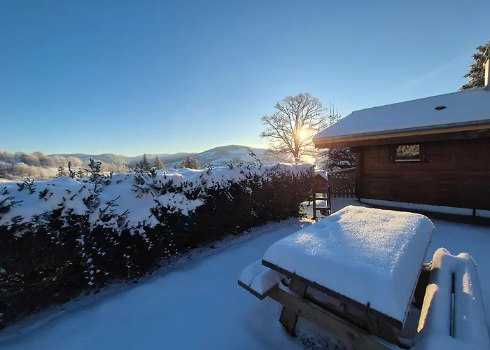 Chalet Les Jonquilles La Bresse