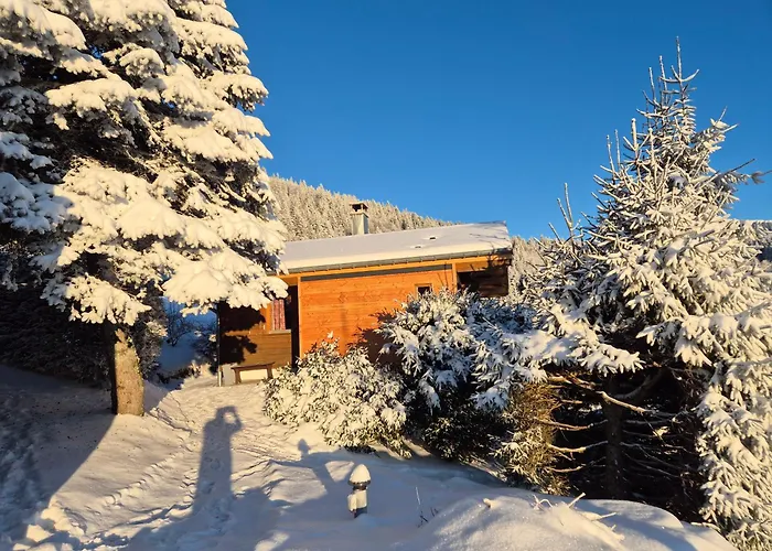 Chalet Les Jonquilles La Bresse