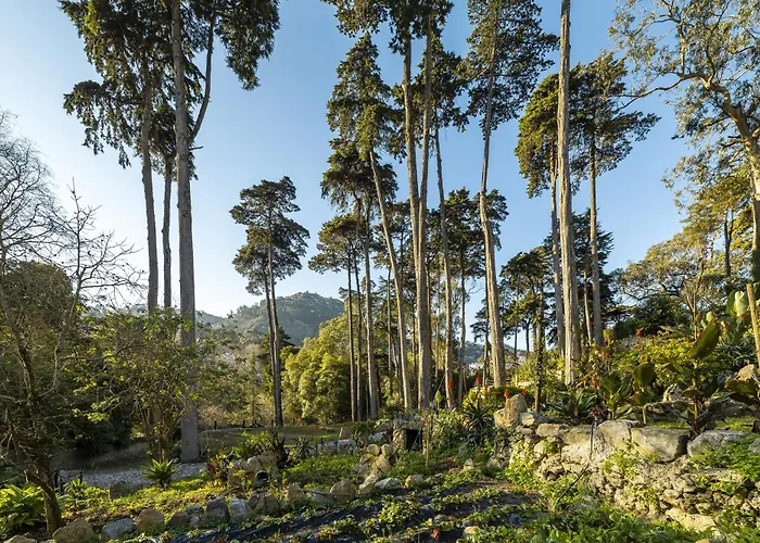 Sintra Marmoris Palace