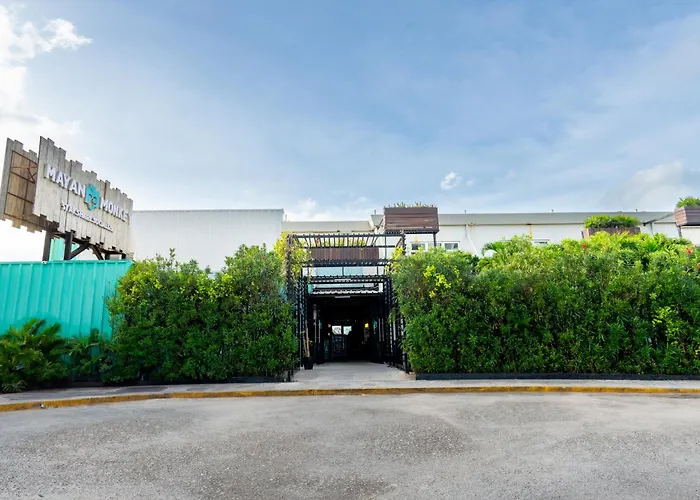 Mayan Monkey Cancun - Social Hotel (Adults Only)
