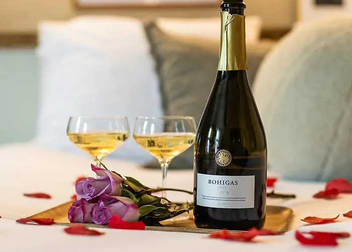 Haustierfreundliches Boutique Hotel & Restaurant Frenchie Haarlem