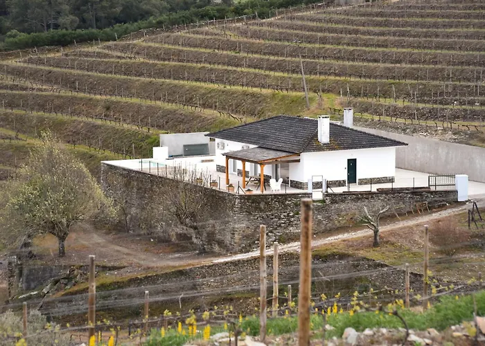 Feel Discovery Quinta Do Muro Douro Valley Peso da Régua