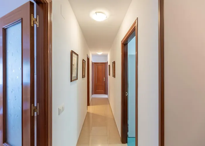 Apartamentos Miguel Angel