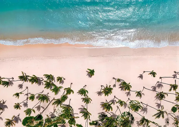 Boutique Hyatt Vivid Punta Cana - Adults-Only All-Inclusive Resort