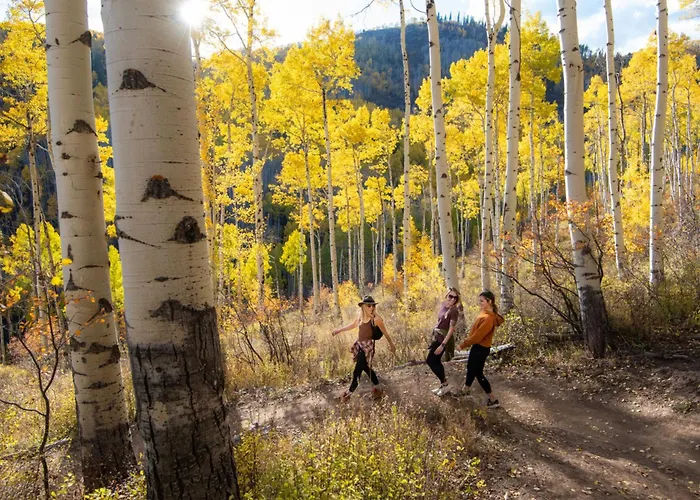 Vail 21 - Coraltree Residence Collection
