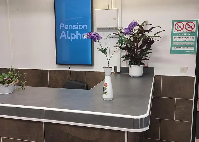Pension Alpha Fráncfort del Meno