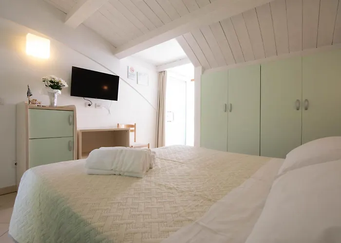 Hotel Lara Riccione che accetta animali
