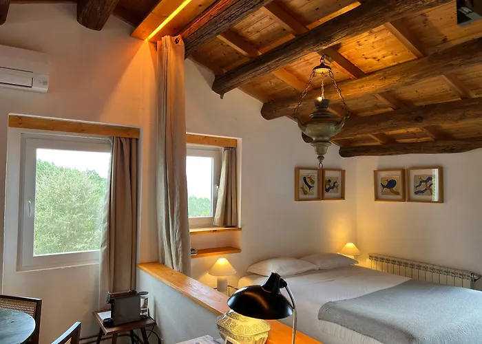 Quinta Do Barrieiro - Art Selection By Maria Leal Da Costa