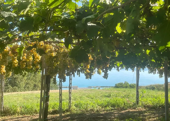 Agriturismo Marina Ortona