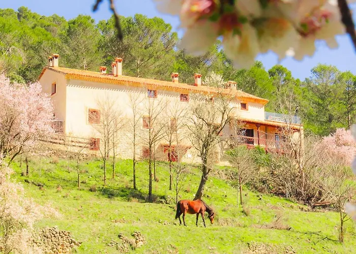 Bungalows en Cuenca (Castilla-La Mancha) 